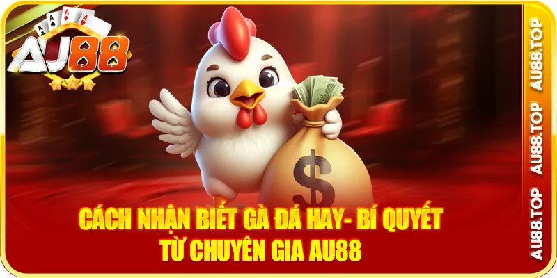 Cách Nhận Biết Gà Đá Hay- Bí Quyết Từ Chuyên Gia AU88