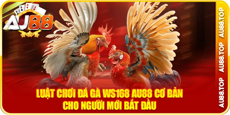 Luật chơi đá gà ws168 au88 cơ bản cho người mới bắt đầu
