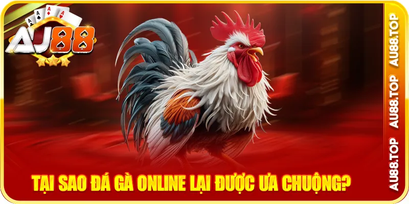 Tại sao đá gà online lại được ưa chuộng?